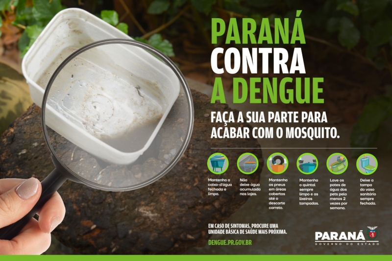 Luta contra o mosquito: Paraná lança campanha para reforçar cuidados contra a dengue.